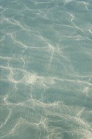 Beach Shore VII Fine Art Print