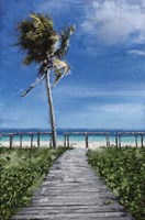 Beach Shore X Fine Art Print