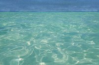 Beach Shore XIII Fine Art Print