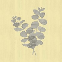Natural Inspiration Eucalyptus Gray & Yellow I Fine Art Print