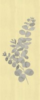 Natural Inspiration Eucalyptus Panel Gray & Yellow I Framed Print