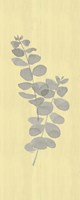 Natural Inspiration Eucalyptus Panel Gray & Yellow II Fine Art Print