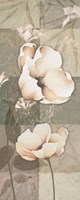 Soft Spa Floral II Framed Print