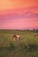 Horse at Sunset Fine Art Print