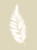Botanical White Fern Fine Art Print