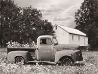 The Flower Box Fine Art Print