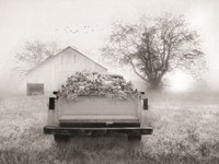 Foggy Morning Sunrise Fine Art Print