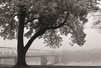 Move On Fine Art Print