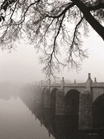 Market Street Fine Art Print