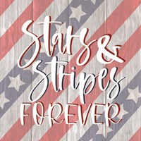 Stars and Stripes Forever I Fine Art Print