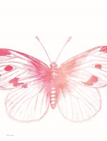 Pink Butterfly III Fine Art Print