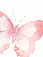 Pink Butterfly V Fine Art Print