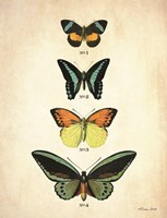 Butterflies 2 Fine Art Print