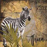 Taste of Africa Zebra Fine Art Print