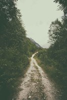 The Path We Followed Fine Art Print