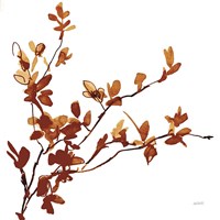 Colors of the Fall IX Framed Print