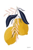 Lemons II No Wedge Fine Art Print