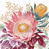 Petal Passion VIII Fine Art Print