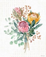 Petal Passion VII Fine Art Print