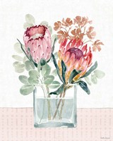 Petal Passion IV Fine Art Print