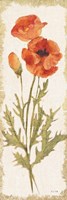 Poppy Panel Light Framed Print