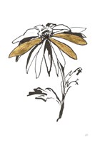 Leafed II Framed Print