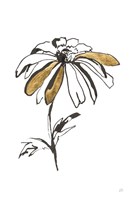 Leafed I Framed Print