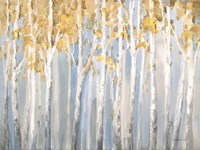 Golden Birches Fine Art Print