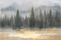 Misty Pines Fine Art Print
