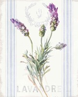 Floursack Lavender II Framed Print