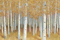 Forest of Gold Fine Art Print