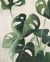 Tropical Study IV Fine Art Print