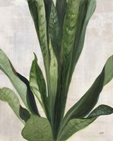 Tropical Study III Framed Print