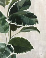 Tropical Study I Framed Print