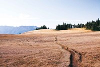 Hurricane Hill I Fine Art Print