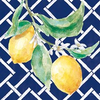 Everyday Chinoiserie Lemons I Fine Art Print