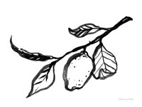 Ink Lemon Fine Art Print