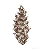 Peace and Joy Pinecone Fine Art Print