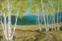 Birch Road Fine Art Print