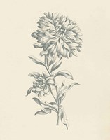 Eden Floral I Fine Art Print