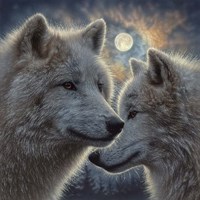 Moonlight Wolf Mates Fine Art Print