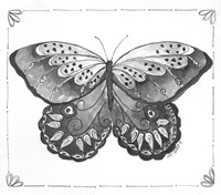 Butterfly VII Fine Art Print