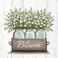 Bloom Fine Art Print