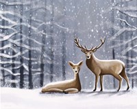 Deer Fine Art Print