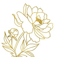Gold Floral III Fine Art Print