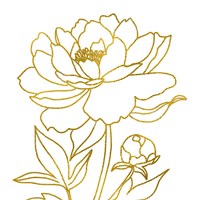 Gold Floral IV Fine Art Print