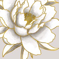 Gold Peony Fine Art Print