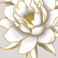 Gold Peony II Fine Art Print