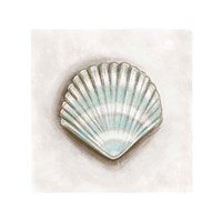 Shell III Framed Print