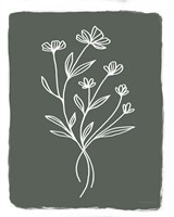 Green Botanical II Fine Art Print